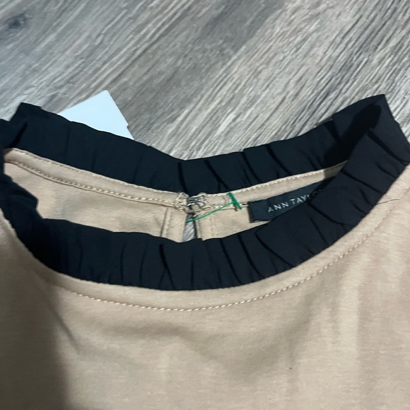 Ann Taylor Beige Top with Black Ruffle Neckline- timeless classic - Picture 4 of 5